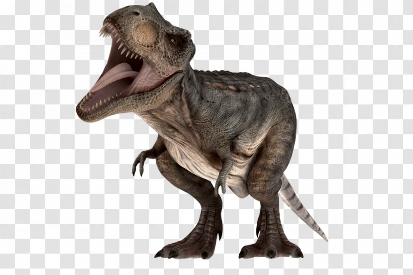 Tyrannosaurus Velociraptor Dinosaur Parque Shopping Barueri - Animal Transparent PNG