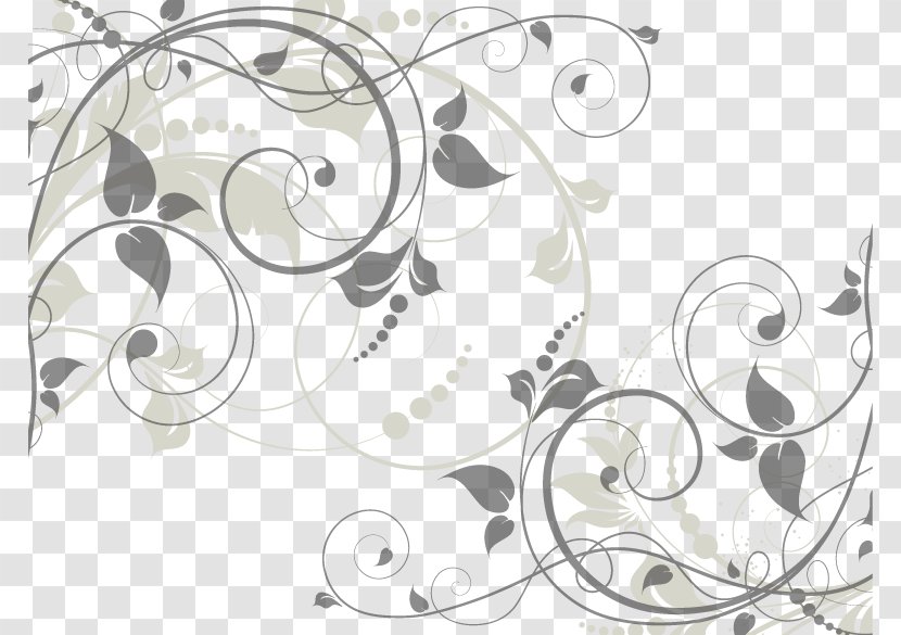 Euclidean Vector Drawing Illustration - Monochrome - Floral Material Transparent PNG