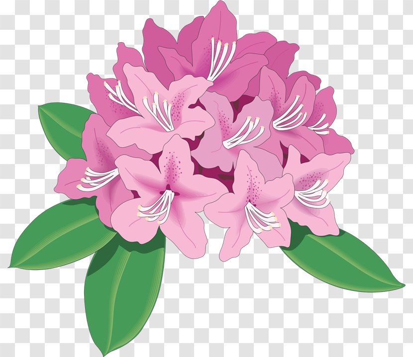 Rhododendron Azalea Drawing Clip Art - Flower Transparent PNG