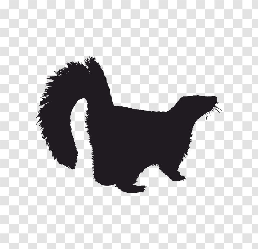 Whiskers Striped Skunks Dog - Small To Medium Sized Cats - Skunk Transparent PNG