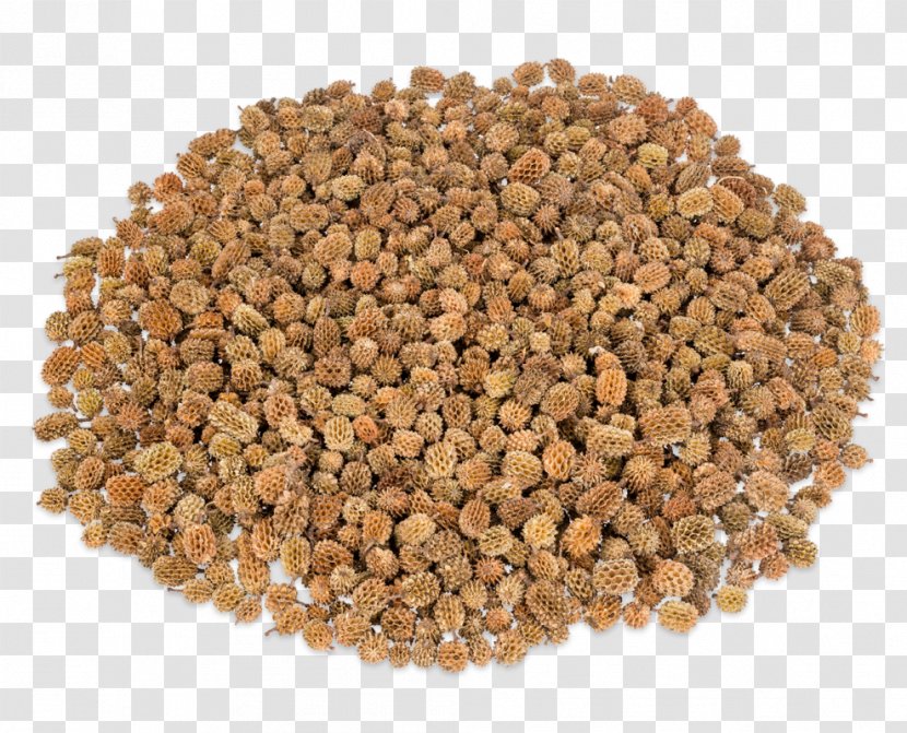 Wheat Berry Food Bean Cereal Lentil - Spring - Flour Transparent PNG