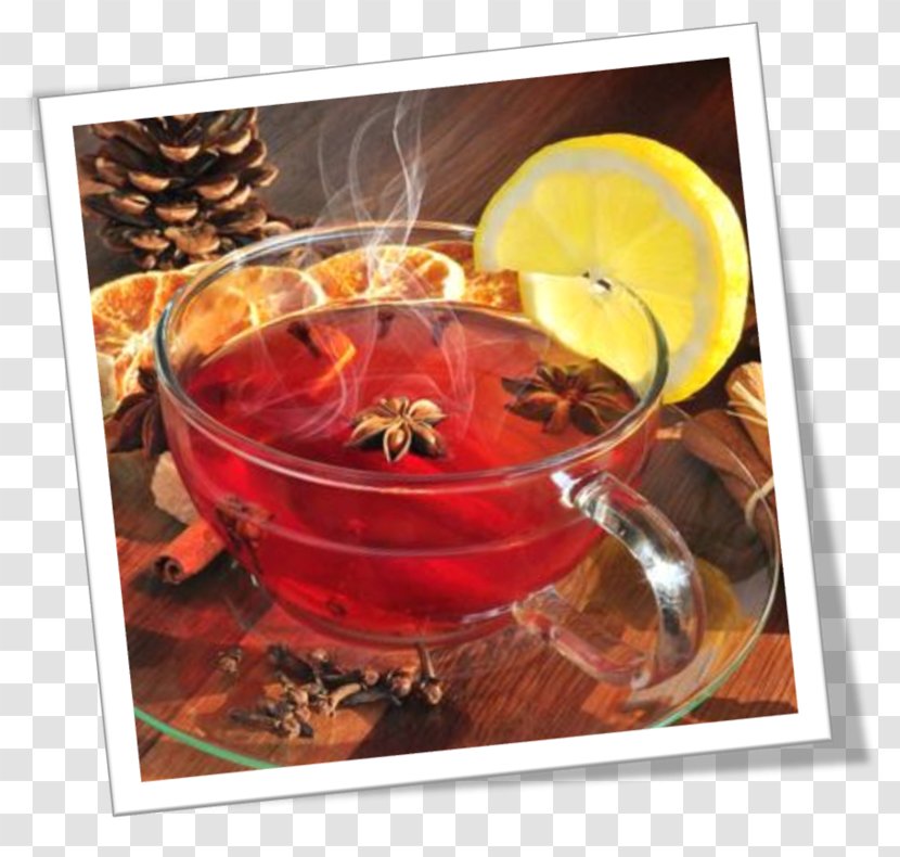 Grog Mulled Wine Punch Tea Star Anise - Infusion - Illicium Verum Transparent PNG