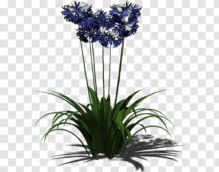 Plant Floral Design Flowerpot Cut Flowers - Co Cou90fdu53ef Transparent PNG