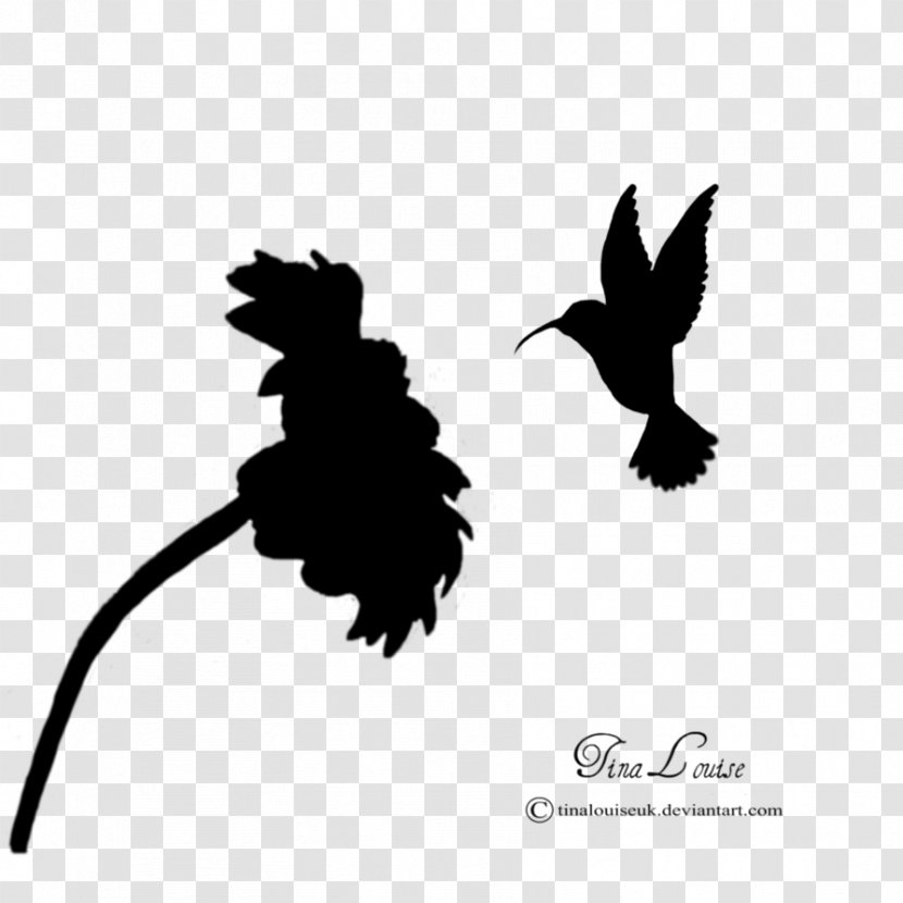 Hummingbird Silhouette Flower Photography Transparent PNG