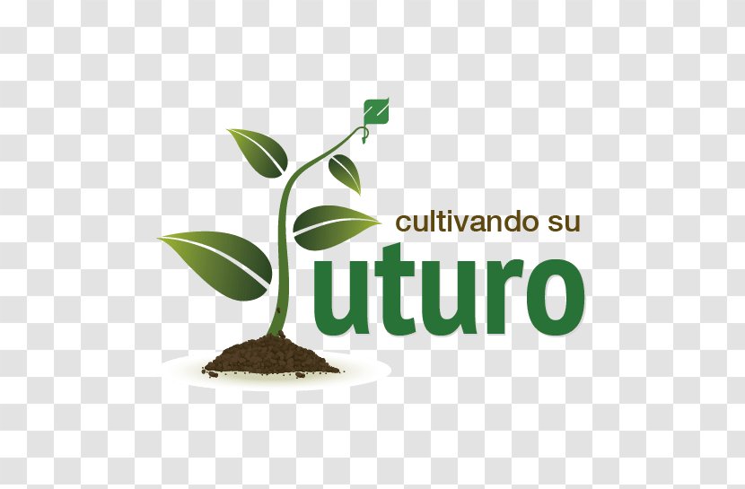 Logo Font Brand Product - Liquid - Cultivation Culture Transparent PNG