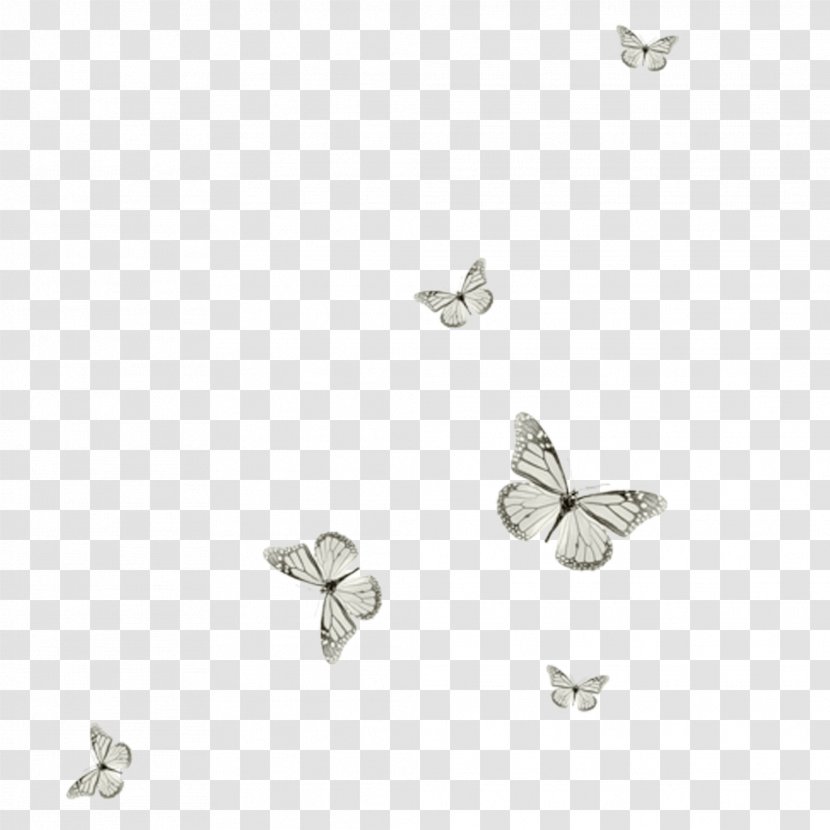 PaintShop Pro Clip Art - White - Butterfly Transparent PNG