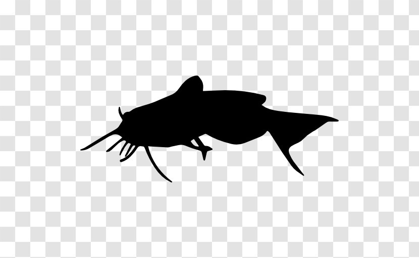 Silhouette Catfish - Monochrome Photography Transparent PNG