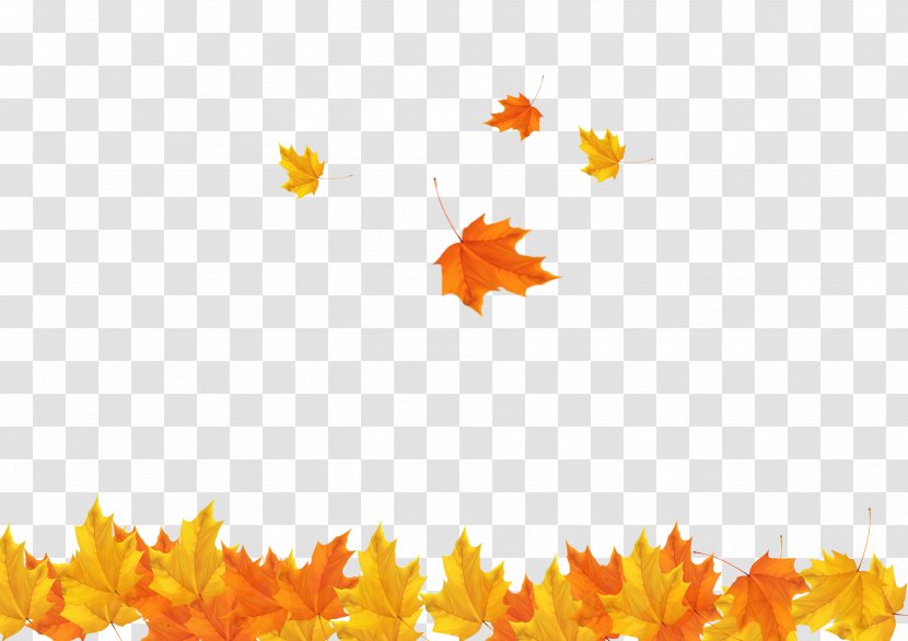 Autumn Leaf Clip Art - Petal - Fall Maple Leaves Background Image Transparent PNG