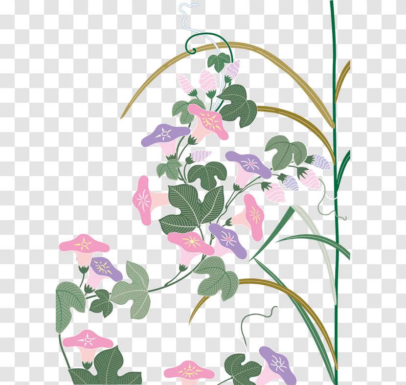 Cartoon Morning Glory - Frame - Hand-painted Trumpet Flower Vines Shading Obscure Transparent PNG