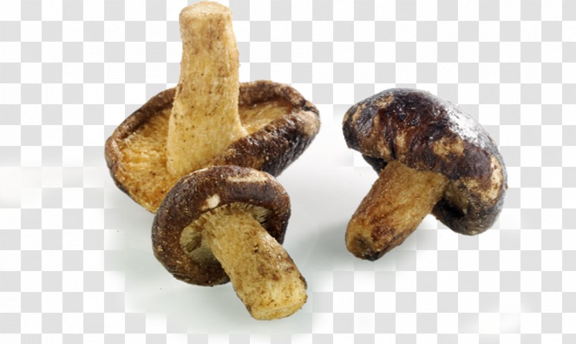 Shiitake Apéritif Cheese Matsutake Potato Chip - Keyword Tool - Mixed Nuts Transparent PNG