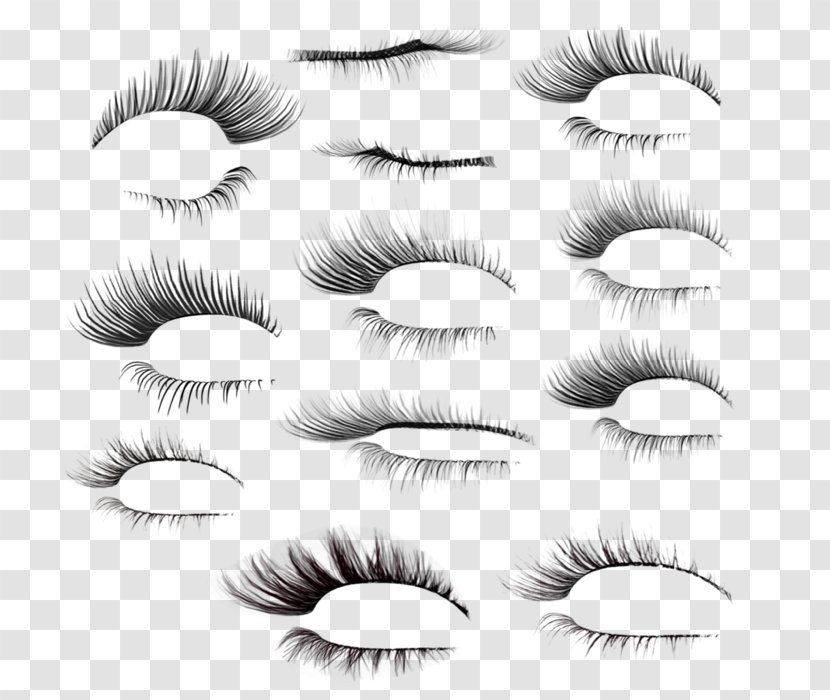 Eyelash Extensions Beauty Mascara - Frame - РЕСНИЦЫ Transparent PNG