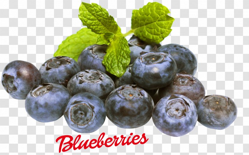 Blueberry Food Fruit Vaccinium Myrtilloides - Chokeberry Transparent PNG