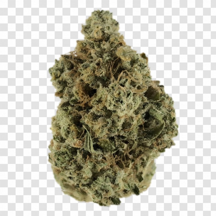 Speedy Jane's Feral Cannabis Royalty-free Image - Frame - Grease Jan Transparent PNG