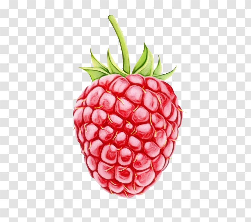 Strawberry - Frutti Di Bosco - Superfood Strawberries Transparent PNG