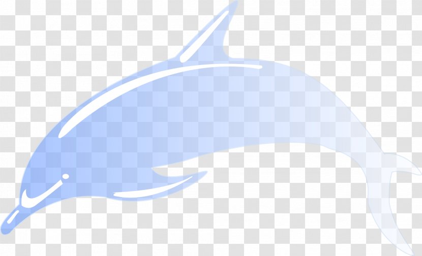 Common Bottlenose Dolphin Tucuxi Transparent PNG