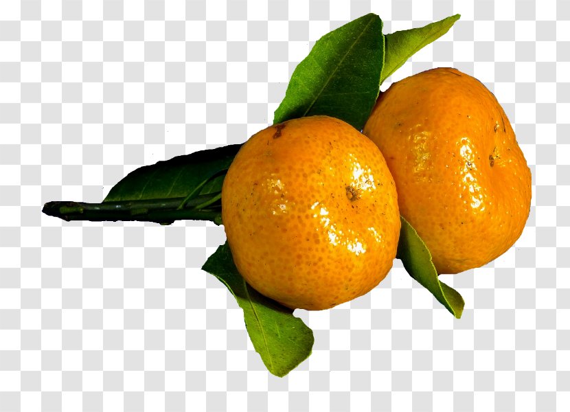 Clementine Mandarin Orange Rangpur Tangerine Tangelo - Lemon Transparent PNG