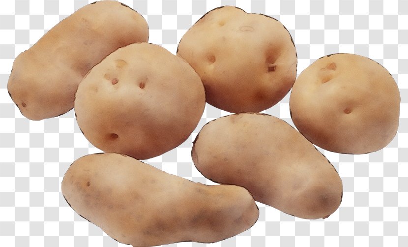 Potato Solanum Root Vegetable Food - Nightshade Family Russet Burbank Transparent PNG