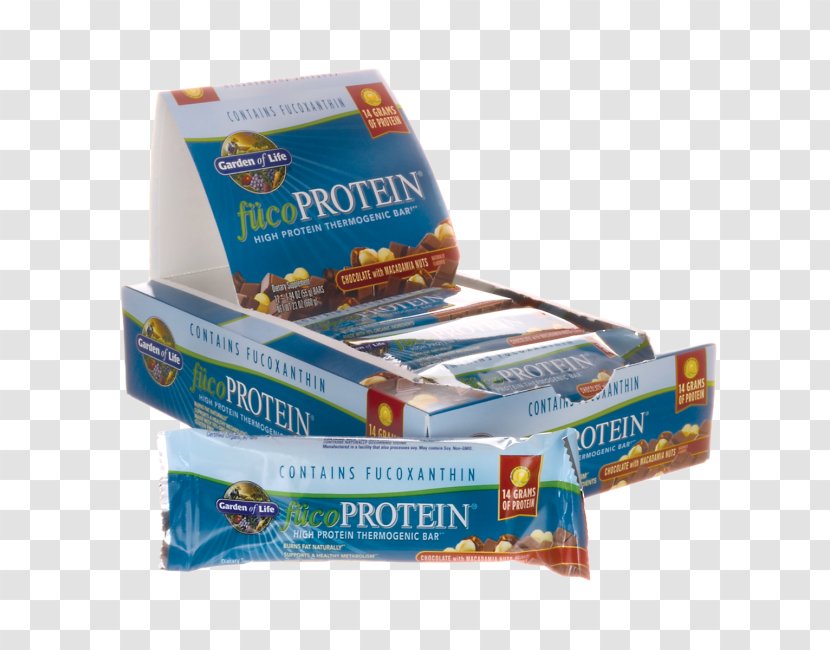 Chocolate Bar Macadamia Nut Protein Transparent PNG