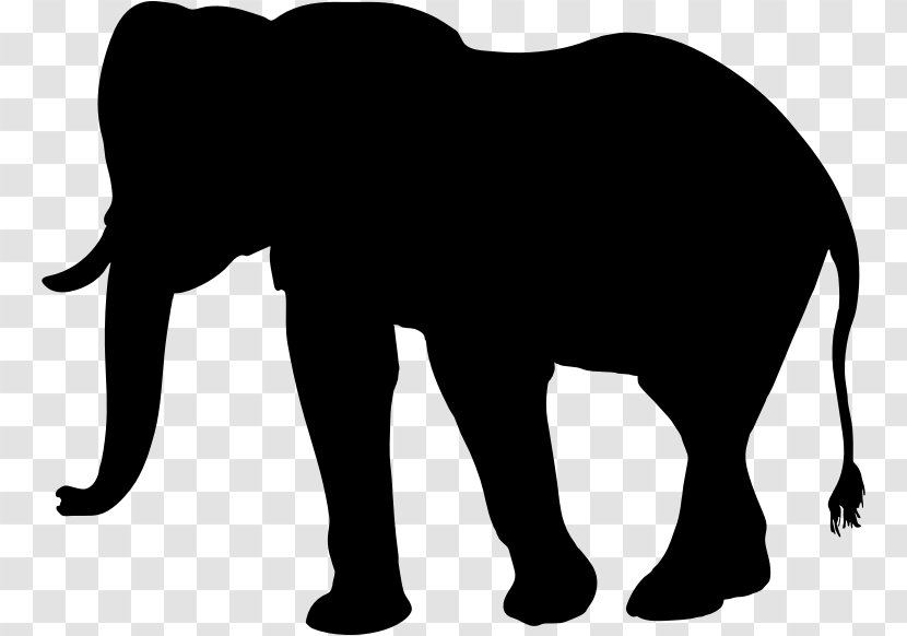 African Elephant Asian Clip Art - Big Cats - Reduced Transparent PNG