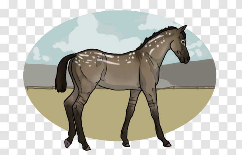 Foal Stallion Mare Rein Colt - Cartoon - Mustang Transparent PNG