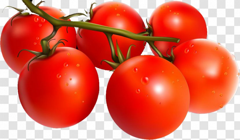 Plum Tomato Bush Red - Natural Foods Transparent PNG