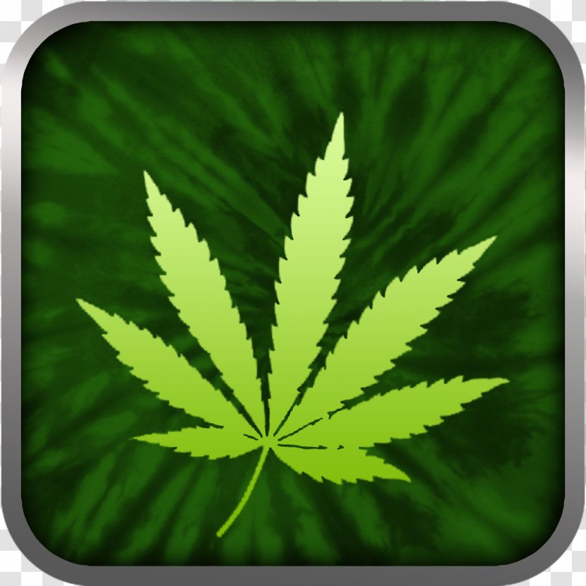 Cannabis Sativa Hemp Substance Abuse Narcotic Transparent PNG