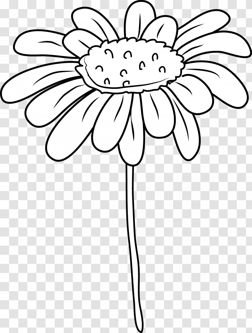 Drawing Common Daisy Clip Art - Monochrome - Flower Transparent PNG