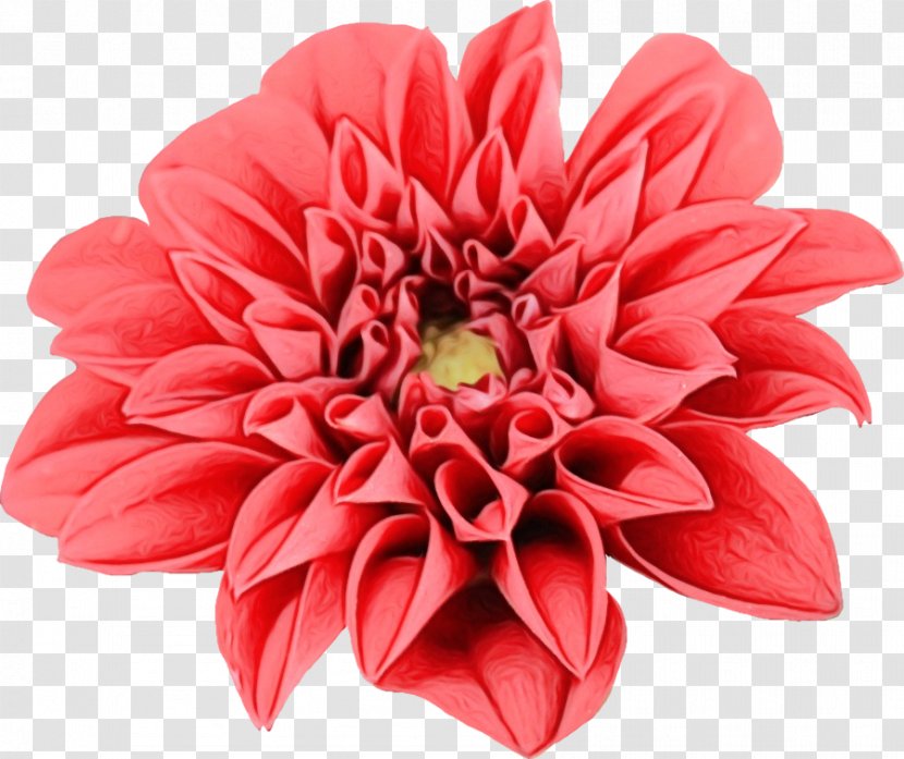 Artificial Flower - Cut Flowers Transparent PNG