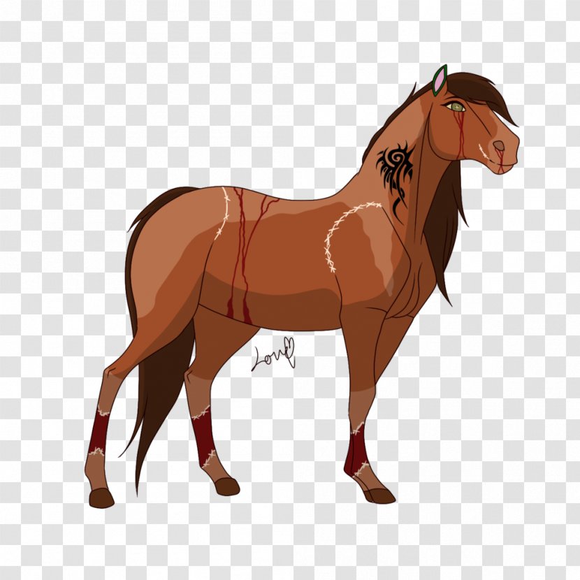 Mustang Foal Stallion Mare Rein - Horse Tack Transparent PNG