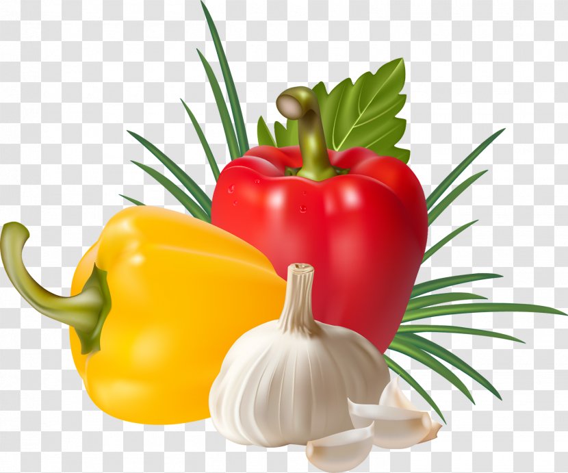 Chili Pepper Bell Vegetable Vegetarian Cuisine Food - Potato And Tomato Genus Transparent PNG