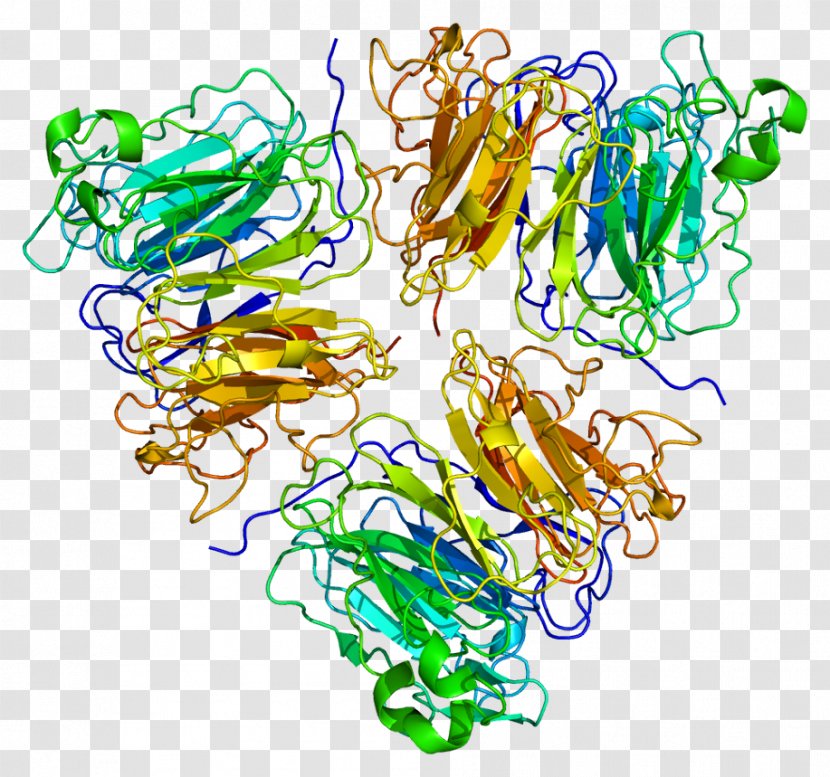 RCC1 Ran Guanine Nucleotide Exchange Factor GTP-binding Protein Regulators - Flower - Frame Transparent PNG