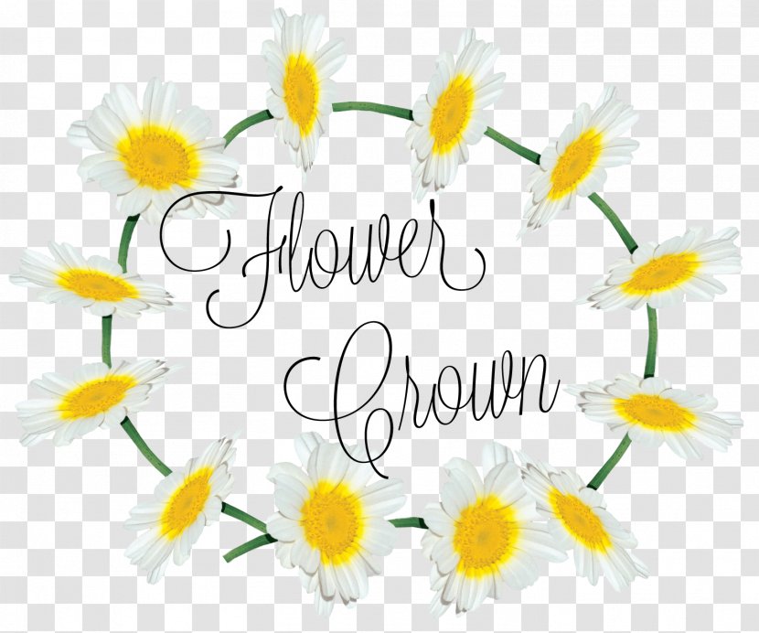 Floral Design Cut Flowers Petal Font - Daisy Transparent PNG