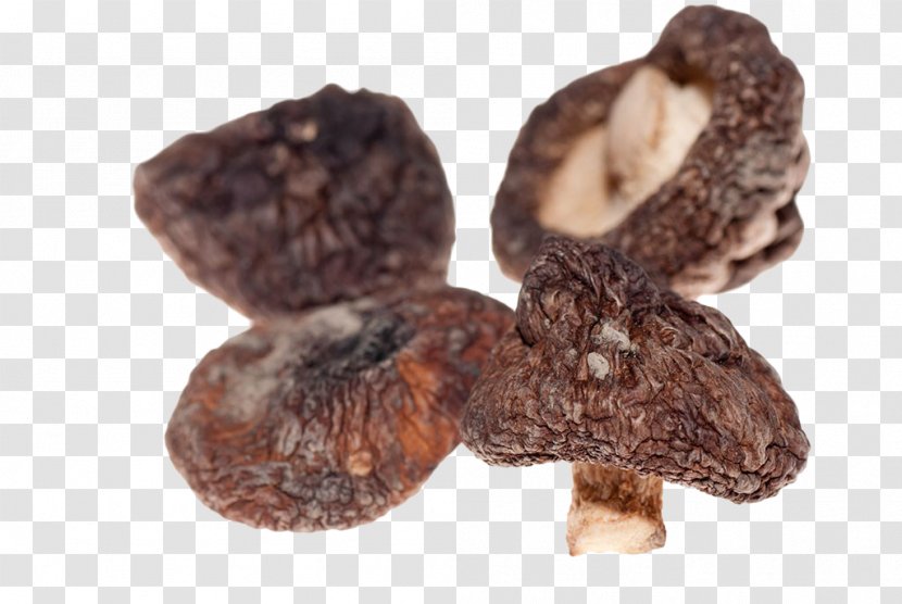 Asian Cuisine Shiitake Mushroom Fungus - Stock Photography - Brown Dry Mushrooms Transparent PNG