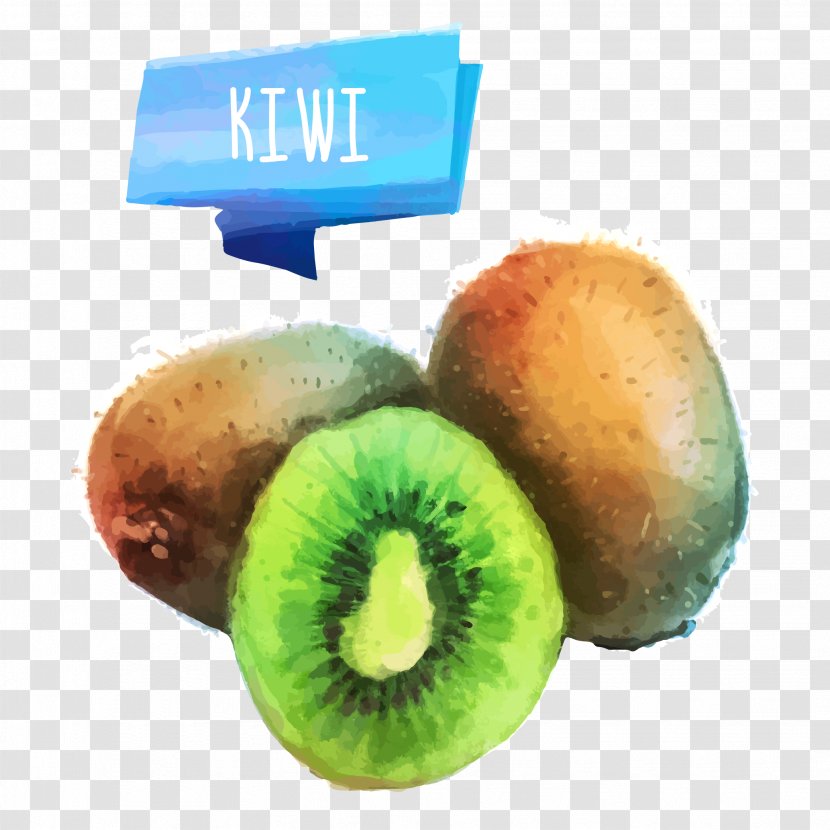 Juice Fruit Watercolor Painting Drawing - Citrus - Kiwi Vector Material Transparent PNG