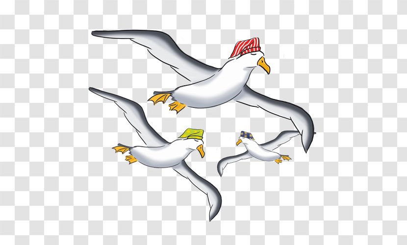 Duck Cygnini Goose Seabird Beak - Charadriiformes Transparent PNG