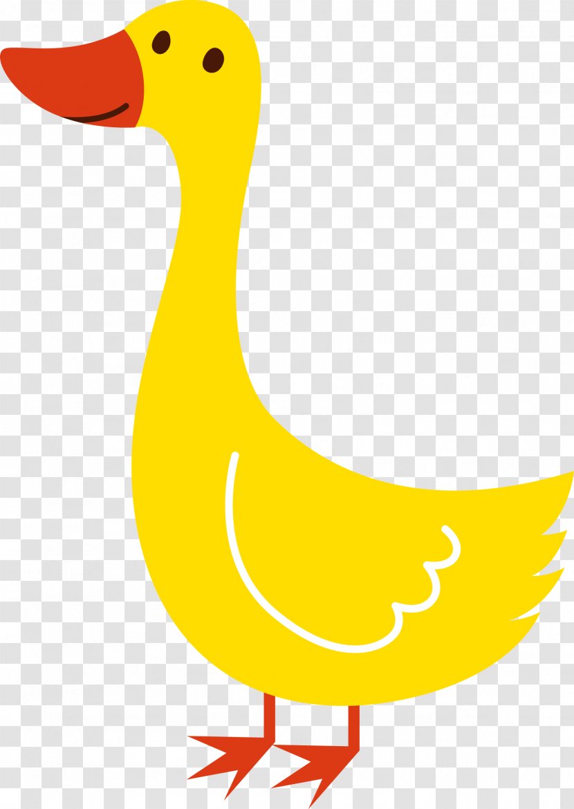 Duck Canada Goose Clip Art Transparent PNG