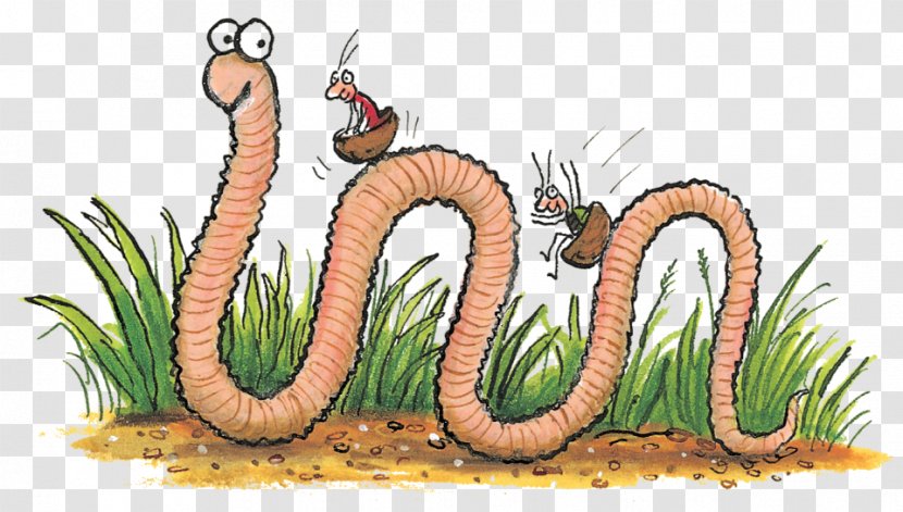Superworm Insect Foundation Stage Clip Art - Early Years Transparent PNG