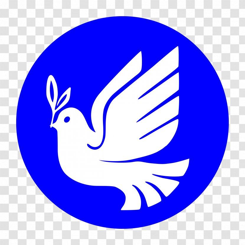 Doves As Symbols Columbidae Clip Art - Bird - Peace Symbol Transparent PNG