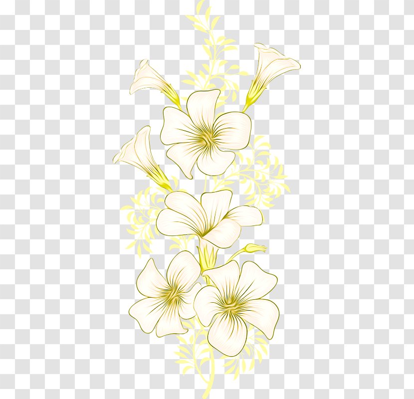 Floral Design Cut Flowers Branch Plant Stem - Illustration - Morning Glory Transparent PNG