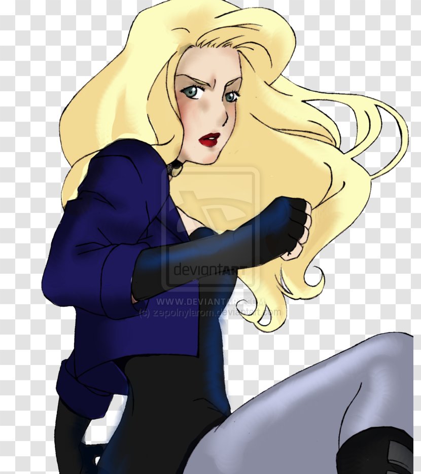 Black Canary Young Justice Superboy Batman Huntress - Cartoon Transparent PNG