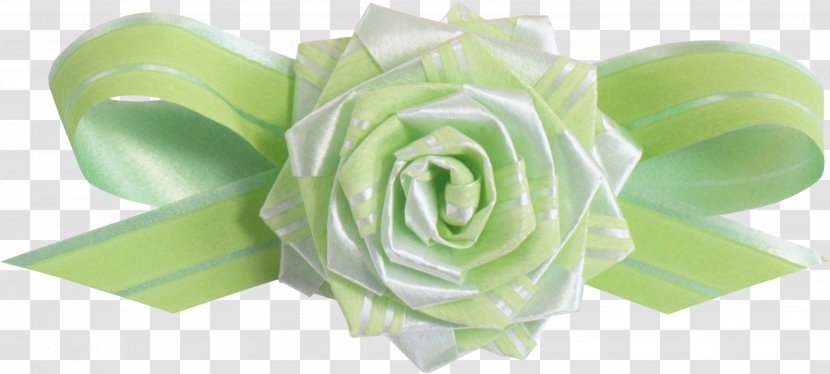 Garden Roses Green Beach Rose Flower - Drawing - Pale Bow Transparent PNG