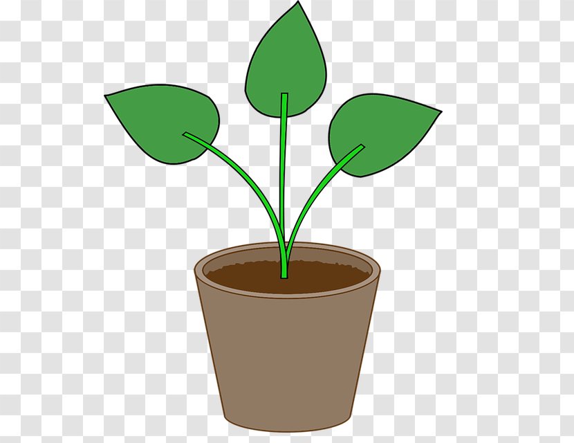 Flowerpot Clip Art Leaf Image - Vase Transparent PNG