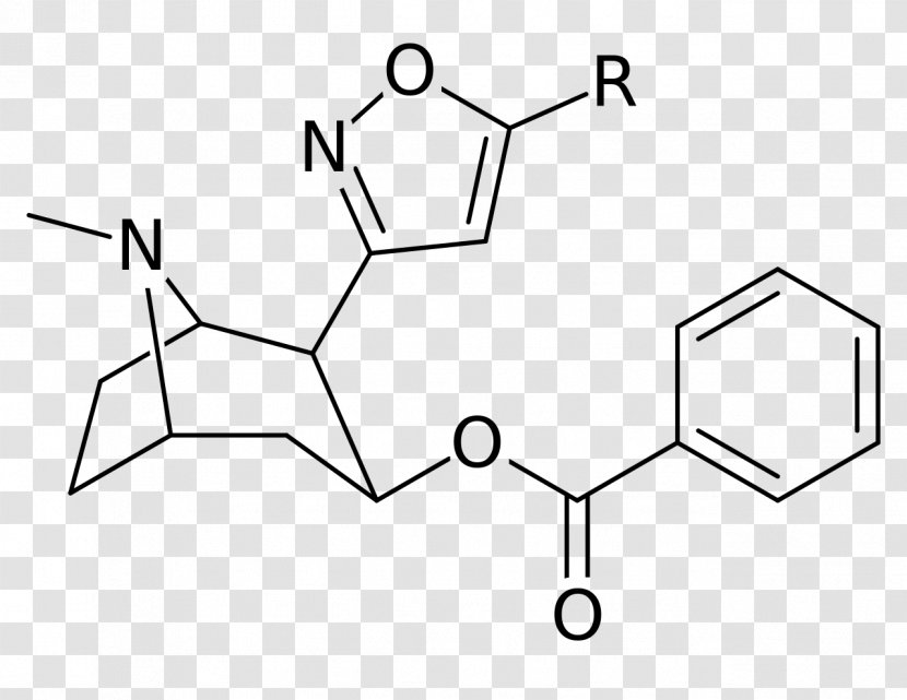 Catuabine Tropane Alkaloid Molecule Terephthalic Acid Chemical Compound - White - Black And Transparent PNG