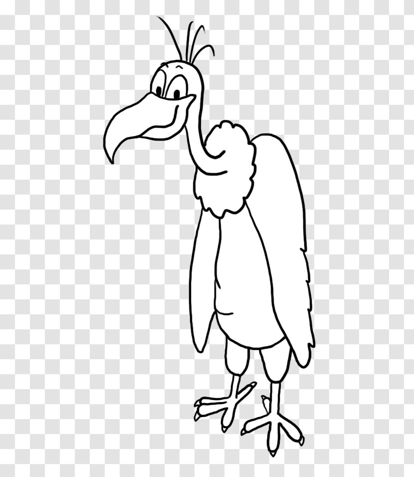 Water Bird Drawing Chicken Galliformes - Area - Hair Vulture Transparent PNG