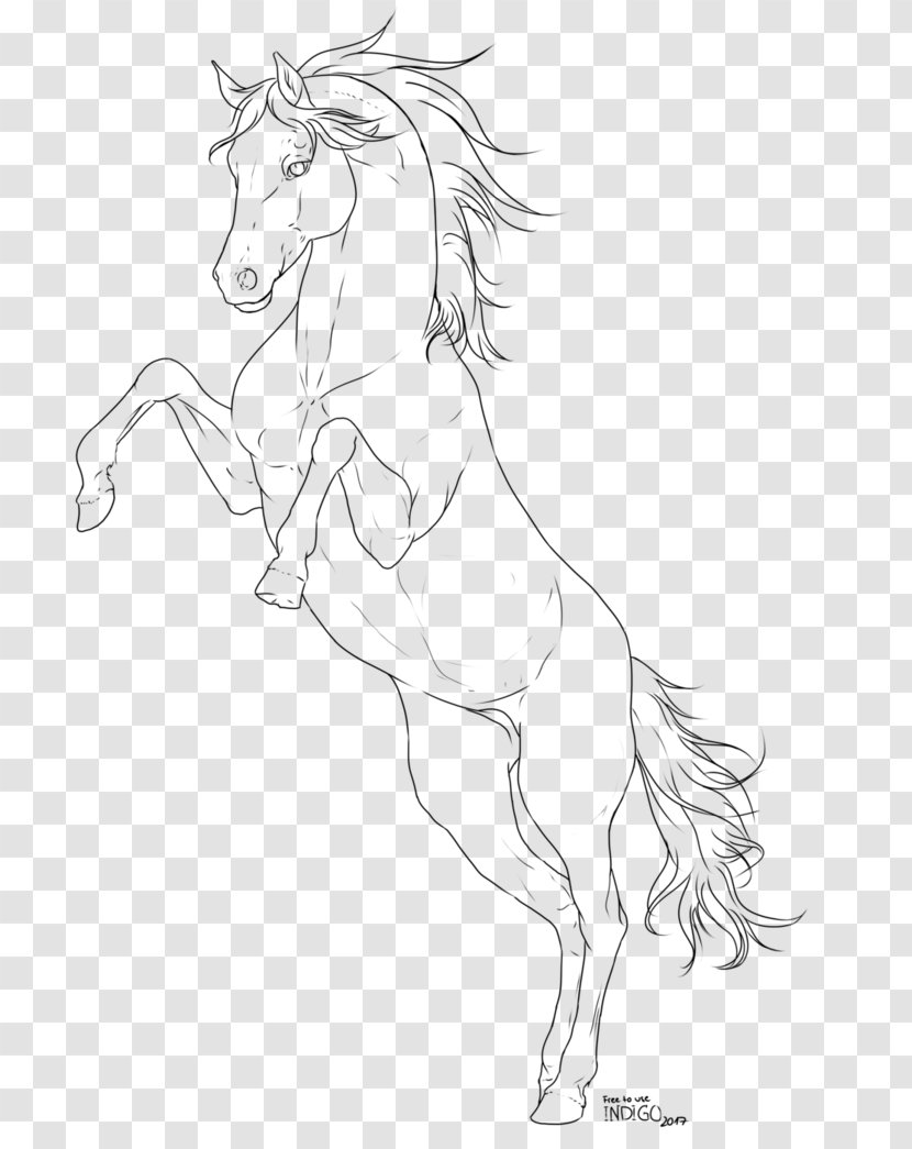 Arabian Horse Line Art Pony Sketch - Pack Animal - Mustang Transparent PNG