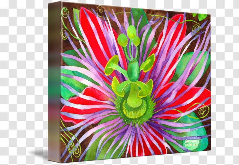 Imagekind Art Passion Flower Canvas Poster - Plant Transparent PNG