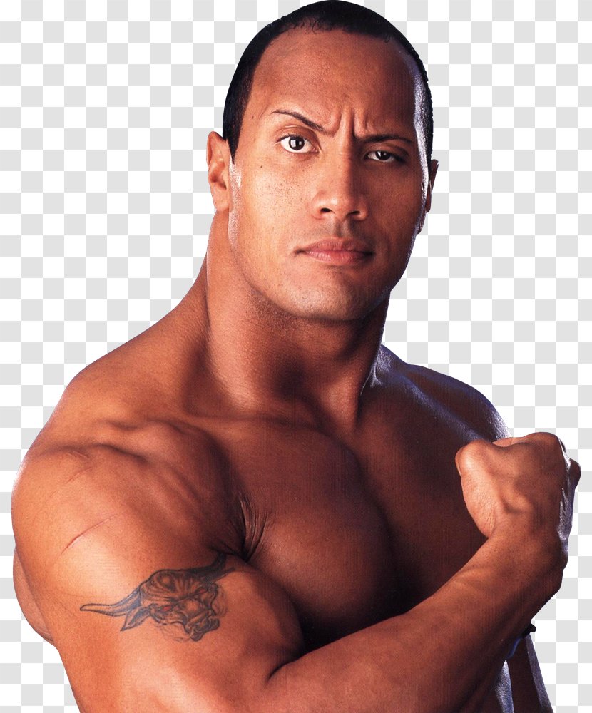 Dwayne Johnson The Scorpion King Professional Wrestling Wrestler Actor - Silhouette - Dave Bautista Transparent PNG