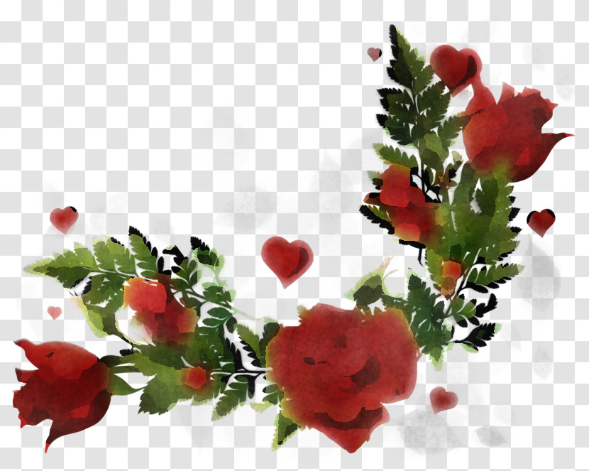 Garden Roses Transparent PNG