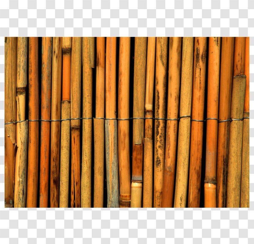 Tropical Woody Bamboos Paper Reed Fence Cane - Roof Transparent PNG