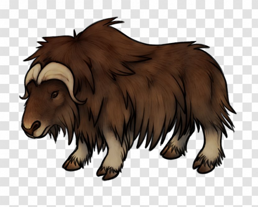 Muskox Sheep Cattle Domestic Yak - Bovid - Cartoon Animal Lovers Transparent PNG